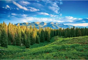 10x8ft Spring Landscape Backdrop Green Grassland Pine Trees Mountain Forest Background for Photography Nature Scenery Outdoor Hiking Camping Adventure Party Backdrop Banner Photo Studio Props