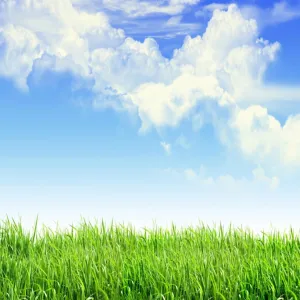 AOFOTO 6x6ft Spring Green Grass Field with Blue Sky White Clouds Photography Backdrop Meadow Grassland Nature Background Outdoor Activity Easter Decoration Kids Birthday Portrait Photoshoot Props
