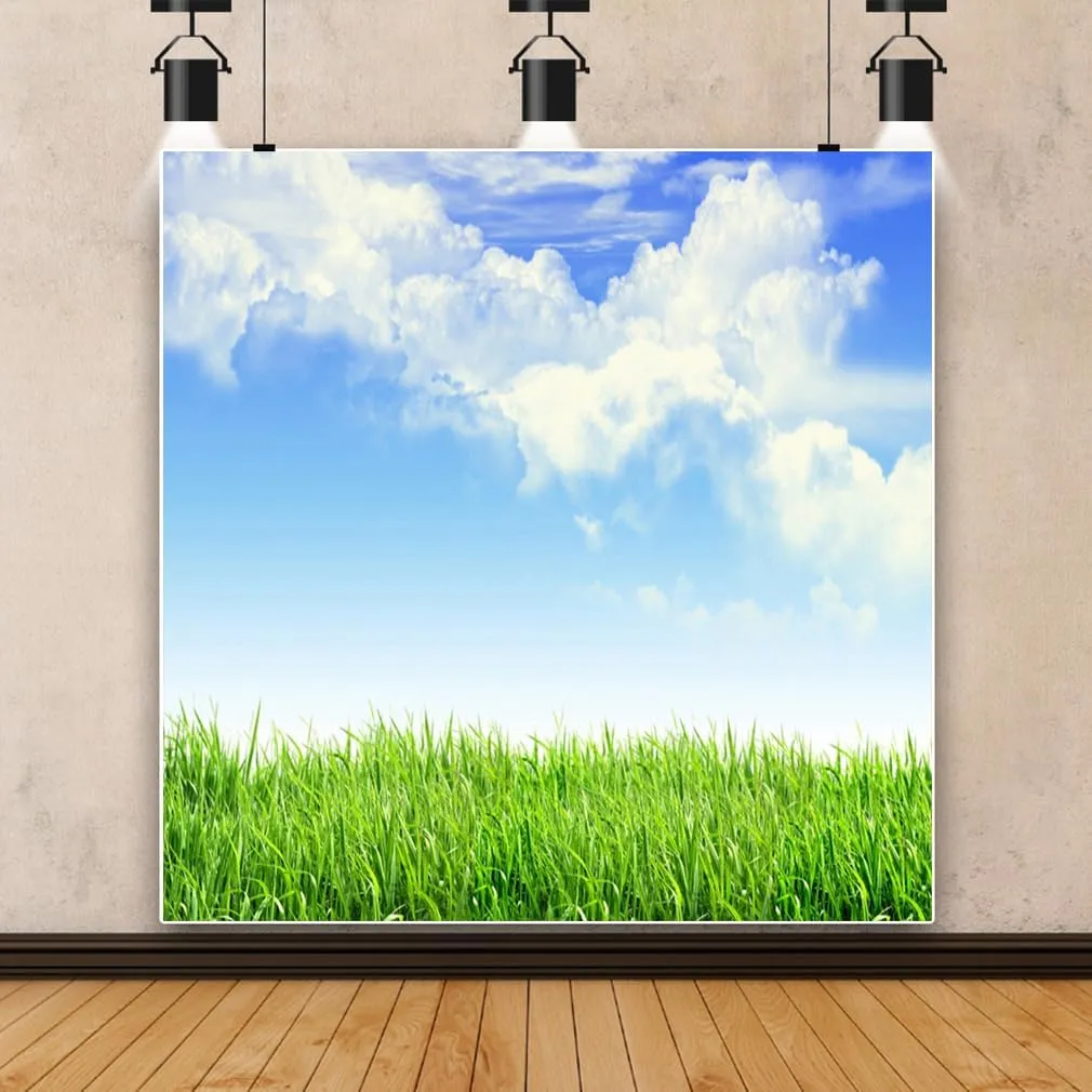 AOFOTO 6x6ft Spring Green Grass Field with Blue Sky White Clouds Photography Backdrop Meadow Grassland Nature Background Outdoor Activity Easter Decoration Kids Birthday Portrait Photoshoot Props