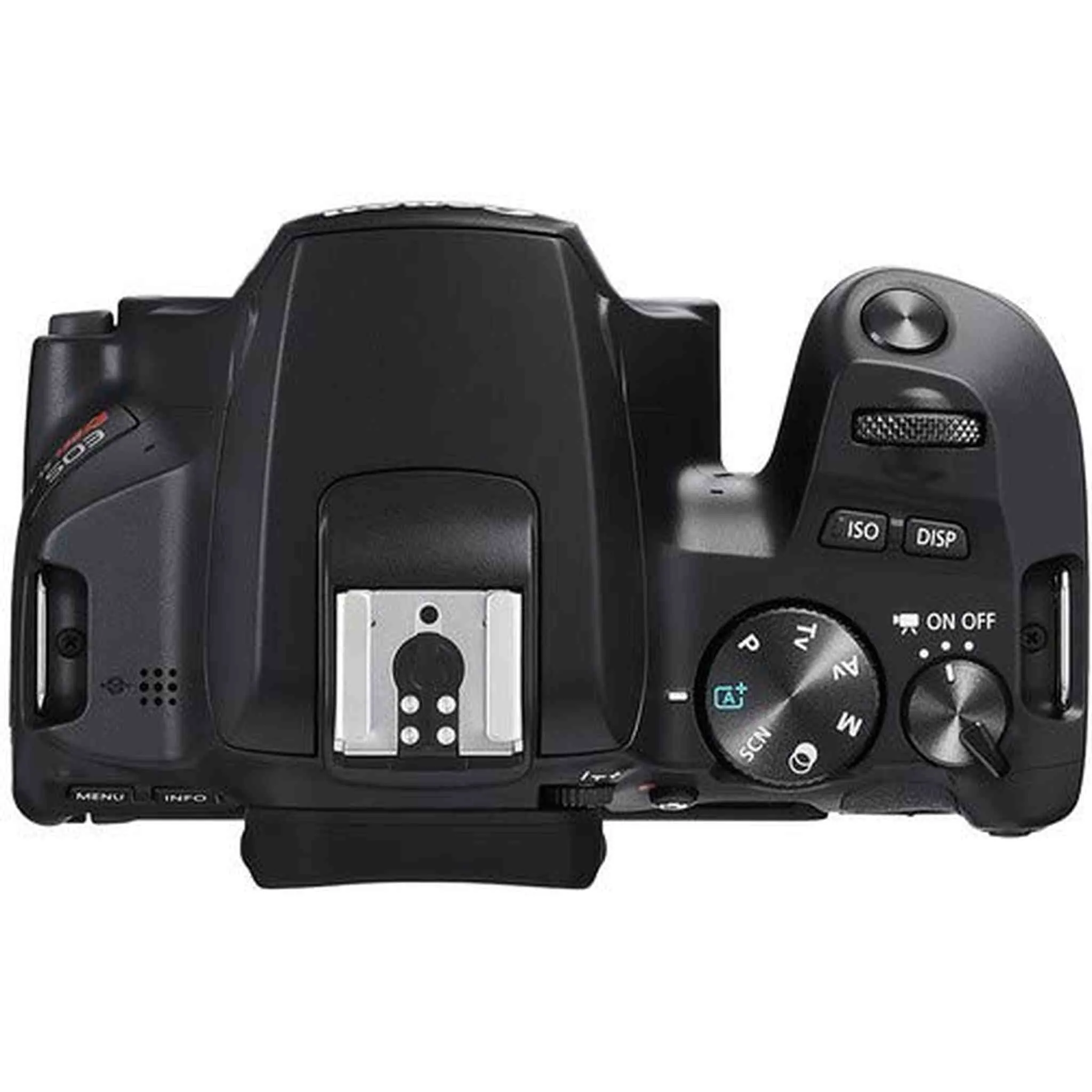 Canon EOS Rebel SL3 DSLR Camera (Black, Body Only) Bundle with 32GB Memory Card  LCD Screen Protectors and More