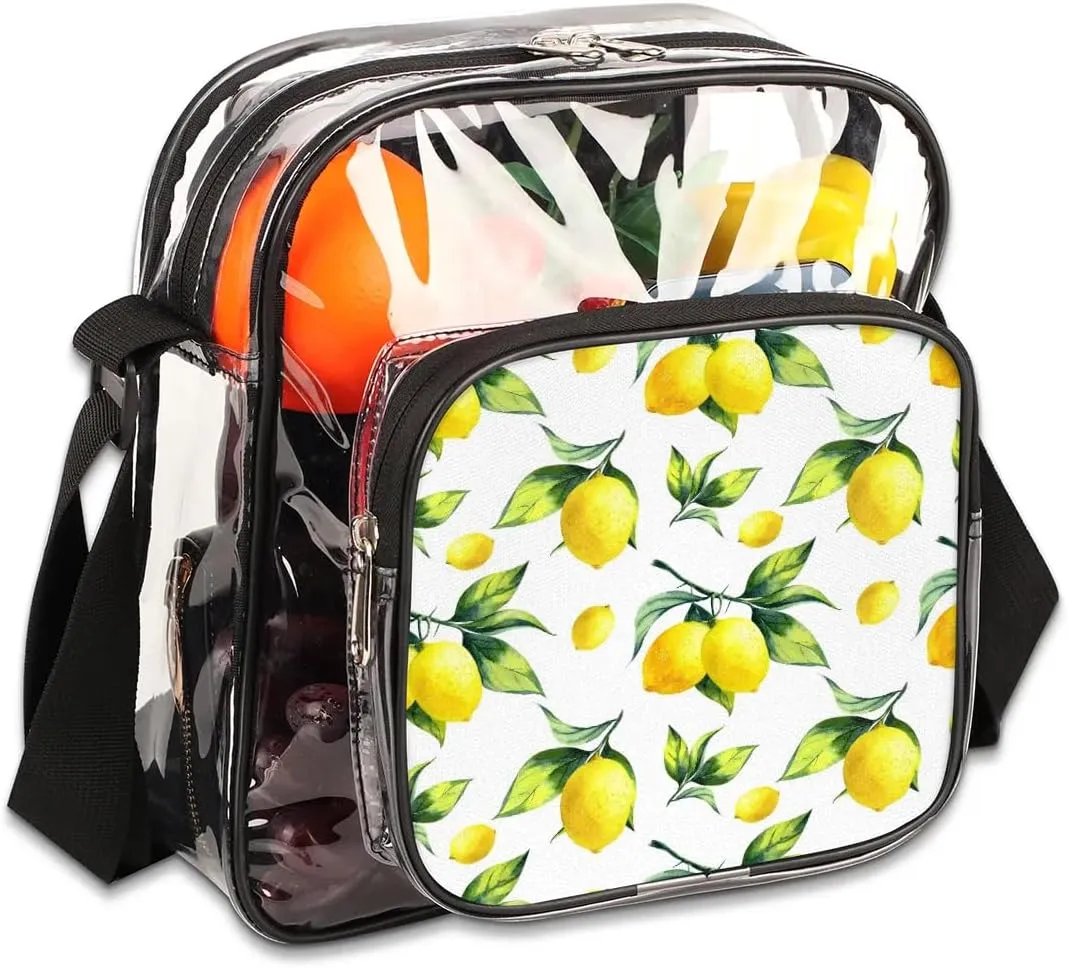 Clear Crossbody Bag Stadium Approved for Women and Men Transparent Messenger Shoulder Bag Clear Purse Bag
