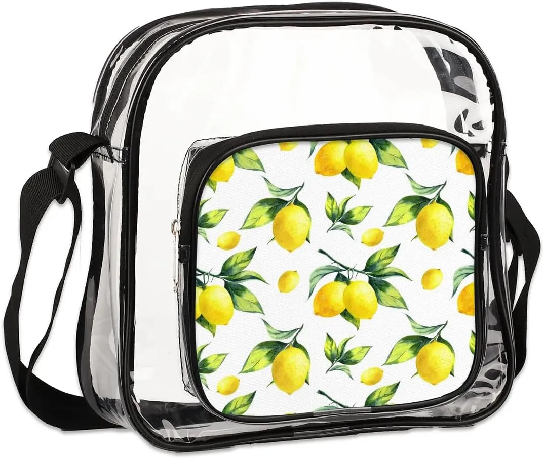Clear Crossbody Bag Stadium Approved for Women and Men Transparent Messenger Shoulder Bag Clear Purse Bag