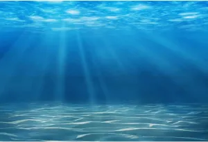 Laeacco Underwater World Background 13x8ft Photography Background Undersea Sunlight Deep Blue Water Sun Ray Backdrop Seabed Children Birthday Home Decoration Party Kid Boy Newborn Photo Studio Props