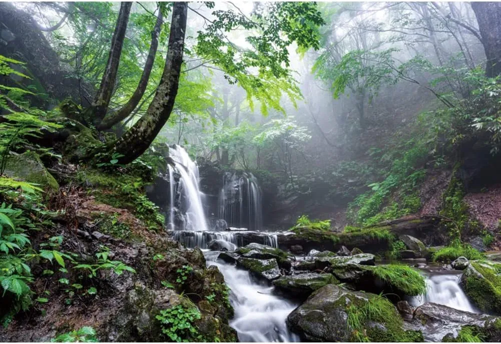 Leyiyi 10x6.5ft Jungle Waterfall Backdrop Tropical Rainforest Natural Scenery Background for Photography Misty Old Forest Rock Flowing Stream Spring Scenery Travel Theme Photo Shoot Photo Studio Props