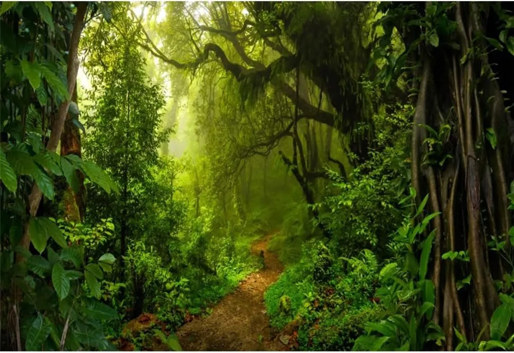 Leyiyi 10x8ft Jungle Forest Photography Backdrop Evergreen Forest Jungle Rainforest Old Trees Natural Scenery Background Outdoorsy Camping Theme Party Decorations Vinyl Photo Booth Props
