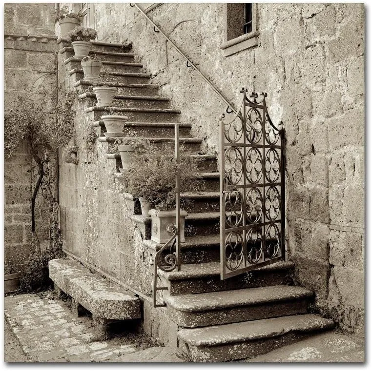 Trademark Fine Art ALI5103-C1818GG Umbria Scala I