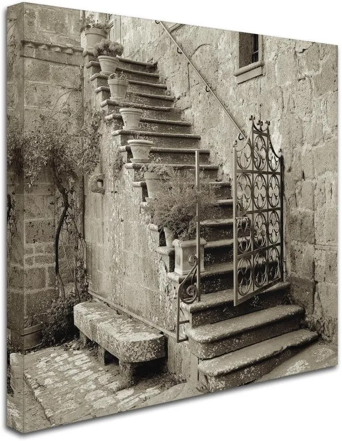 Trademark Fine Art ALI5103-C1818GG Umbria Scala I