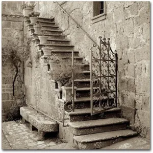 Trademark Fine Art ALI5103-C1818GG Umbria Scala I