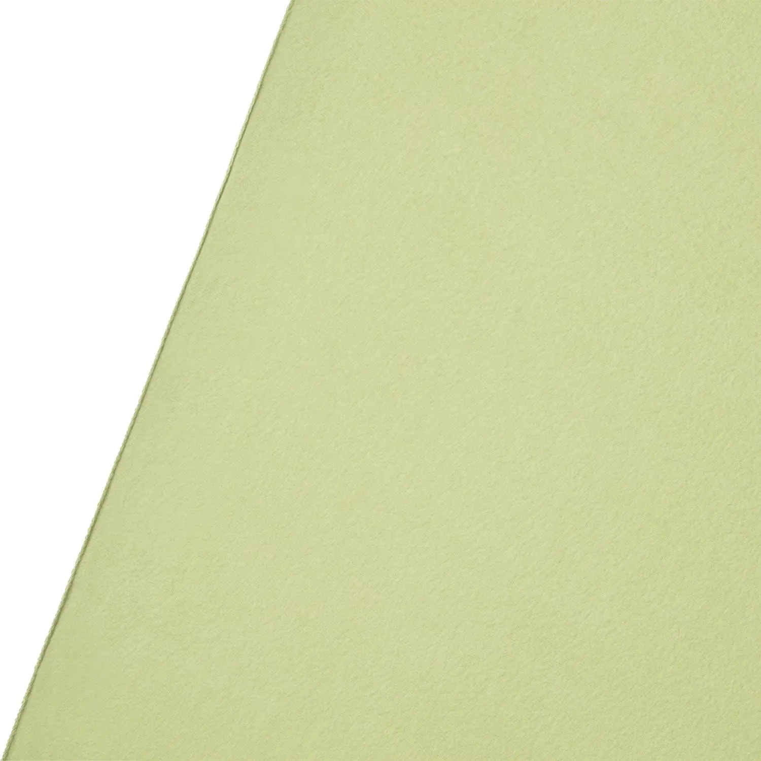 Westcott Wrinkle-Resistant 9' x 10' (2.75 x 3.05m) Backdrop for Photoshoots, Group Portraits, & Photo Booth. Portable and Travel Friendly (Light Moss Green)